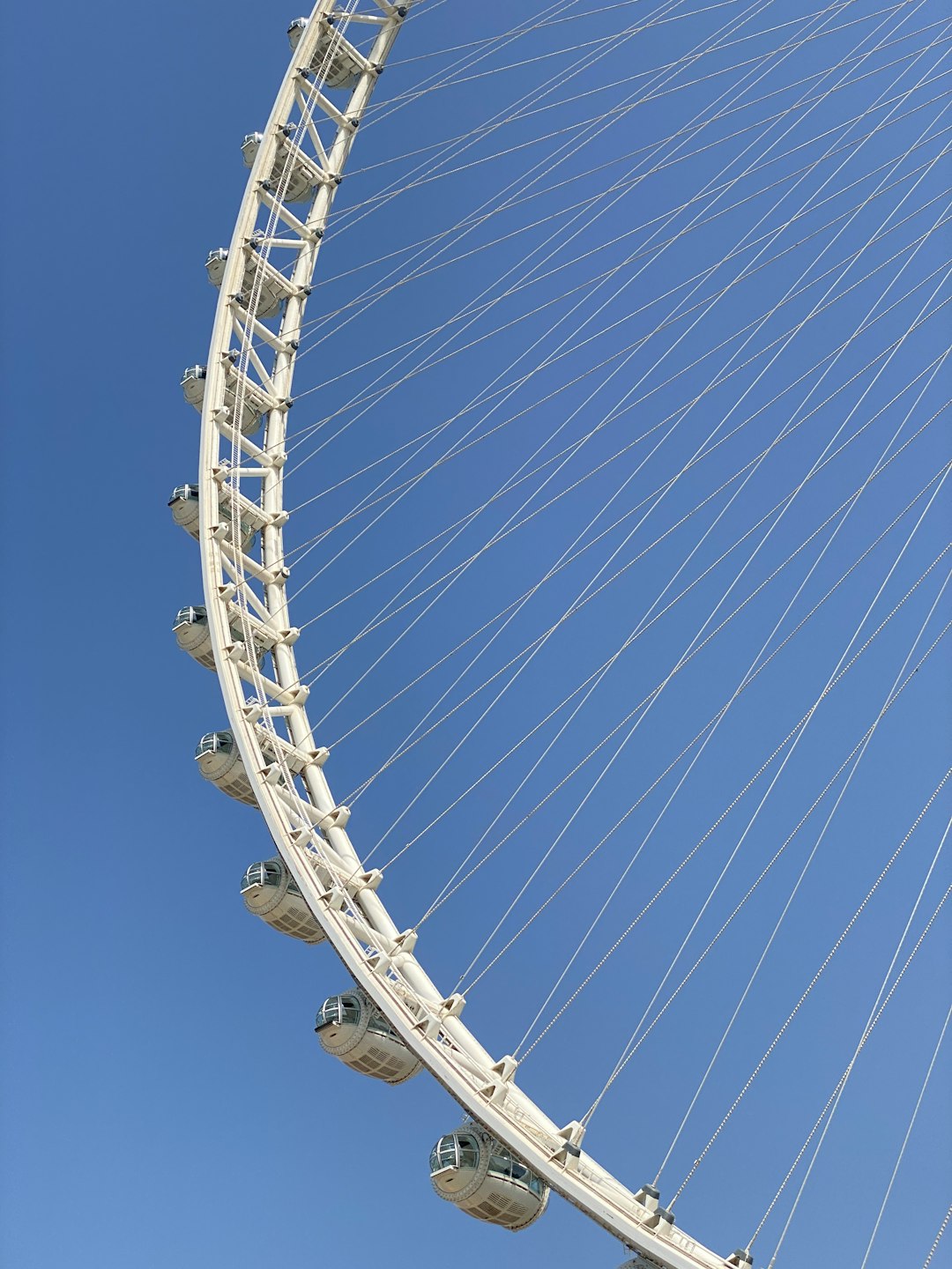 The View At The Palm